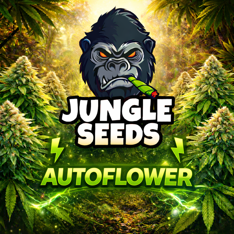 Autoflower